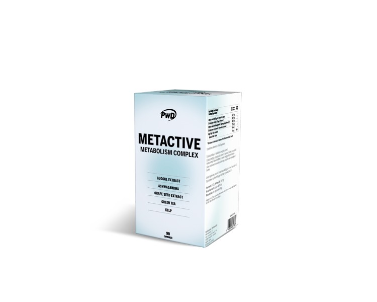 METACTIVE